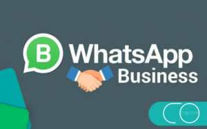 WhatsApp-business